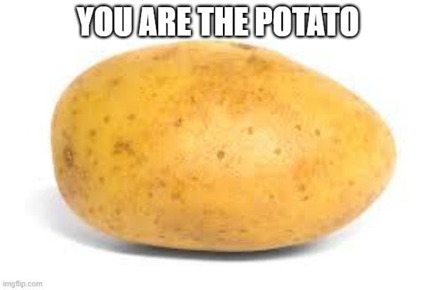 Potato | YOU ARE THE POTATO | image tagged in potato | made w/ Imgflip meme maker