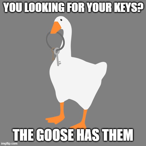 Untitled Goose Game | YOU LOOKING FOR YOUR KEYS? THE GOOSE HAS THEM | image tagged in untitled goose game | made w/ Imgflip meme maker