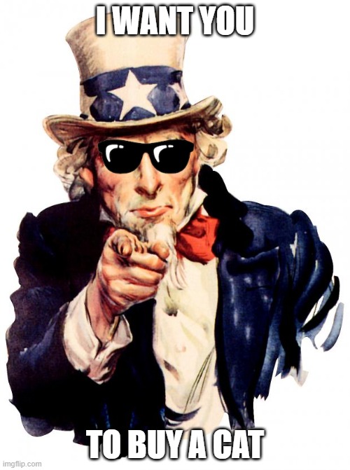 Uncle Sam wants you tuy buy a cat | I WANT YOU; TO BUY A CAT | image tagged in memes,uncle sam,funny meme | made w/ Imgflip meme maker