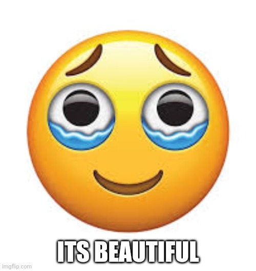Happy tears | ITS BEAUTIFUL | image tagged in happy tears | made w/ Imgflip meme maker