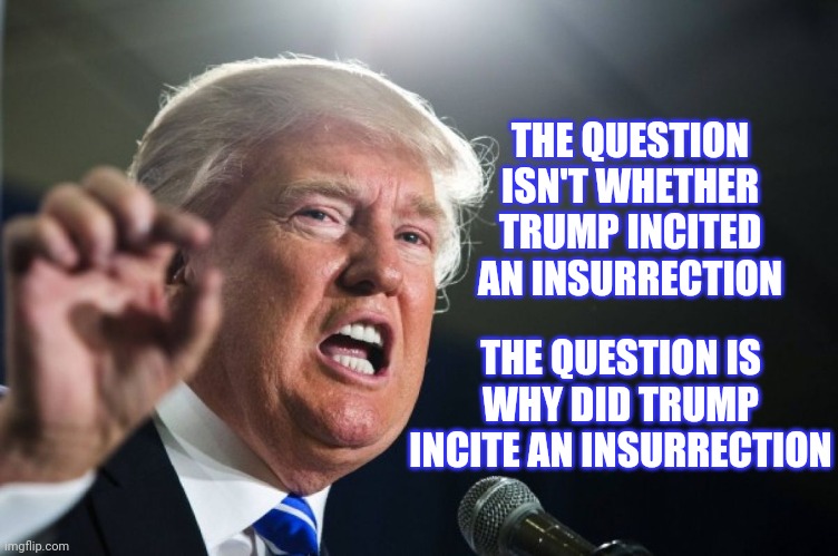 It's Not A Question If You Already Know The Answer | THE QUESTION ISN'T WHETHER TRUMP INCITED AN INSURRECTION; THE QUESTION IS WHY DID TRUMP INCITE AN INSURRECTION | image tagged in donald trump,impeachment,trump impeachment,guilty,he's guilty,memes | made w/ Imgflip meme maker