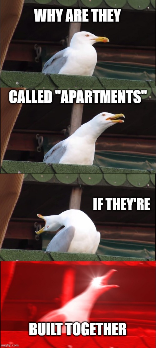 yooooooo 0-0 | WHY ARE THEY; CALLED "APARTMENTS"; IF THEY'RE; BUILT TOGETHER | image tagged in memes,inhaling seagull | made w/ Imgflip meme maker