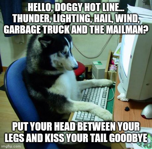 Doggy Hot Line | HELLO, DOGGY HOT LINE... THUNDER, LIGHTING, HAIL, WIND, GARBAGE TRUCK AND THE MAILMAN? PUT YOUR HEAD BETWEEN YOUR LEGS AND KISS YOUR TAIL GOODBYE | image tagged in memes,i have no idea what i am doing | made w/ Imgflip meme maker