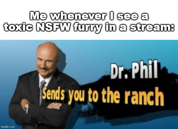 Begone toxic furries |  Me whenever I see a toxic NSFW furry in a stream: | image tagged in dr phil | made w/ Imgflip meme maker