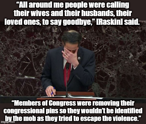 Real men weep for the death of our country. | “All around me people were calling their wives and their husbands, their loved ones, to say goodbye,” [Raskin] said. “Members of Congress were removing their congressional pins so they wouldn’t be identified by the mob as they tried to escape the violence.” | image tagged in rep jamie raskin | made w/ Imgflip meme maker