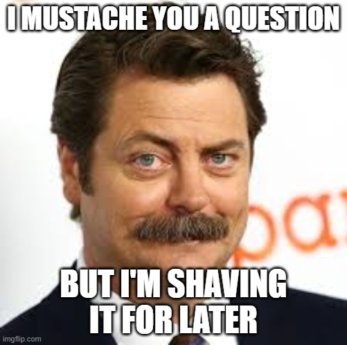mustache | I MUSTACHE YOU A QUESTION; BUT I'M SHAVING IT FOR LATER | image tagged in mustache | made w/ Imgflip meme maker