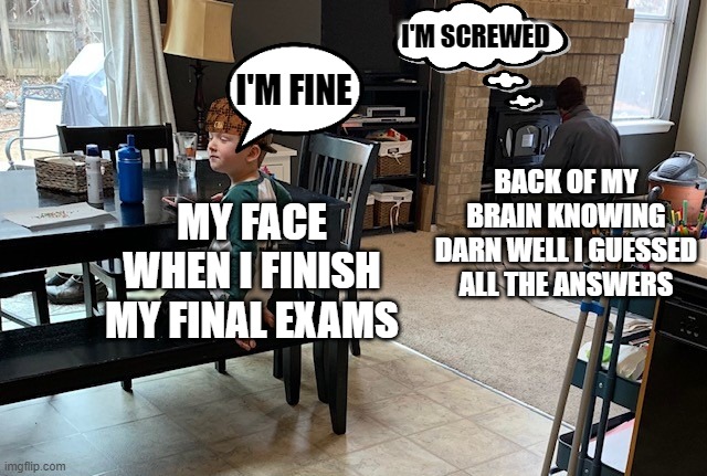 natan original post | I'M SCREWED; I'M FINE; BACK OF MY BRAIN KNOWING DARN WELL I GUESSED ALL THE ANSWERS; MY FACE WHEN I FINISH MY FINAL EXAMS | image tagged in natan | made w/ Imgflip meme maker