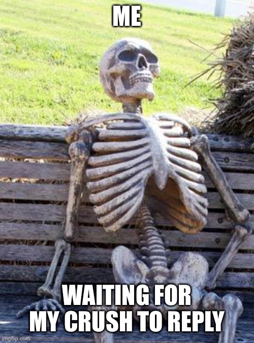 Waiting Skeleton | ME; WAITING FOR MY CRUSH TO REPLY | image tagged in memes,waiting skeleton | made w/ Imgflip meme maker