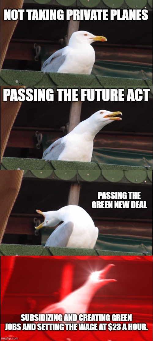 How We Can Save The Planet And Help People At The Same Time. | NOT TAKING PRIVATE PLANES; PASSING THE FUTURE ACT; PASSING THE GREEN NEW DEAL; SUBSIDIZING AND CREATING GREEN JOBS AND SETTING THE WAGE AT $23 A HOUR. | image tagged in memes,inhaling seagull | made w/ Imgflip meme maker