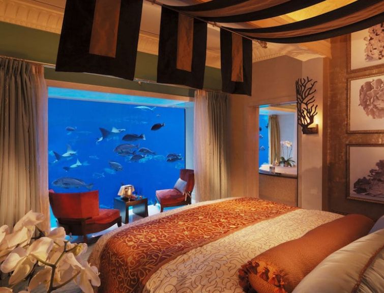 Underwater hotel room Blank Meme Template