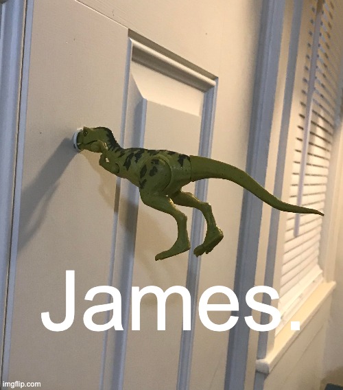 We got the official James now! | James. | image tagged in fun,juan | made w/ Imgflip meme maker