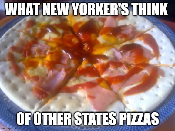 Florida Pizza | WHAT NEW YORKER'S THINK; OF OTHER STATES PIZZAS | image tagged in funny | made w/ Imgflip meme maker