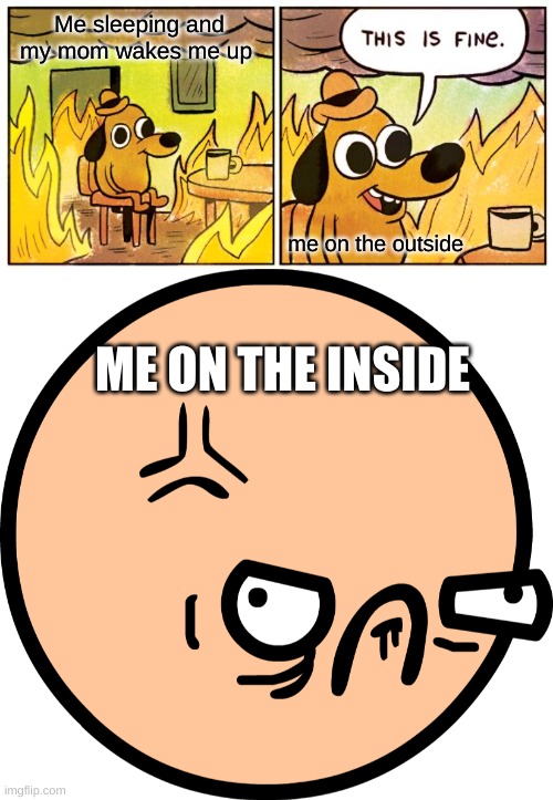 I JUST WANT SOME SLEEP | Me sleeping and my mom wakes me up; me on the outside; ME ON THE INSIDE | image tagged in memes,this is fine | made w/ Imgflip meme maker