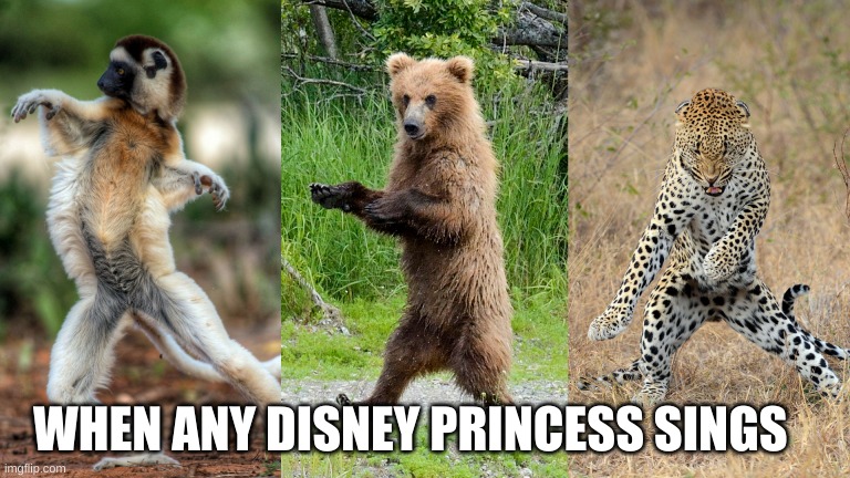  WHEN ANY DISNEY PRINCESS SINGS | image tagged in disney,animals,funny meme | made w/ Imgflip meme maker