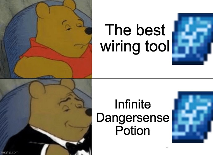 The Grand Design shows wires, therefore showing traps by showing wires attached to them | The best wiring tool; Infinite Dangersense Potion | image tagged in memes,tuxedo winnie the pooh,terraria,gaming | made w/ Imgflip meme maker