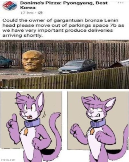 w h a t | image tagged in furry hold on | made w/ Imgflip meme maker