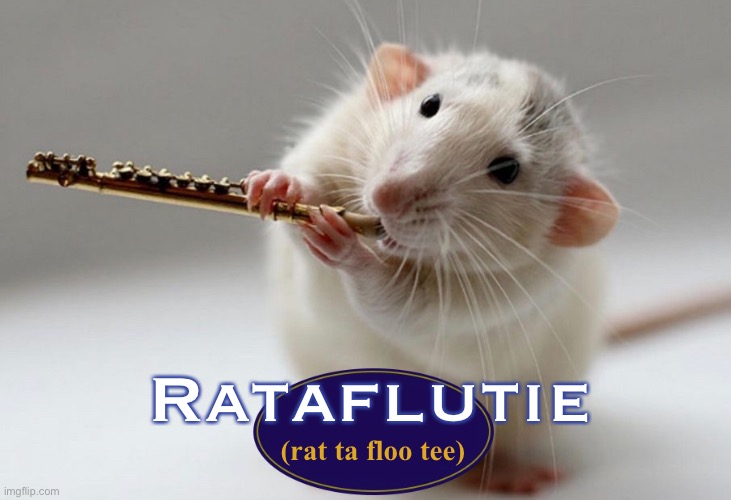 Toot-toot | Rataflutie; (rat ta floo tee) | image tagged in funny memes,bad puns,eyeroll | made w/ Imgflip meme maker