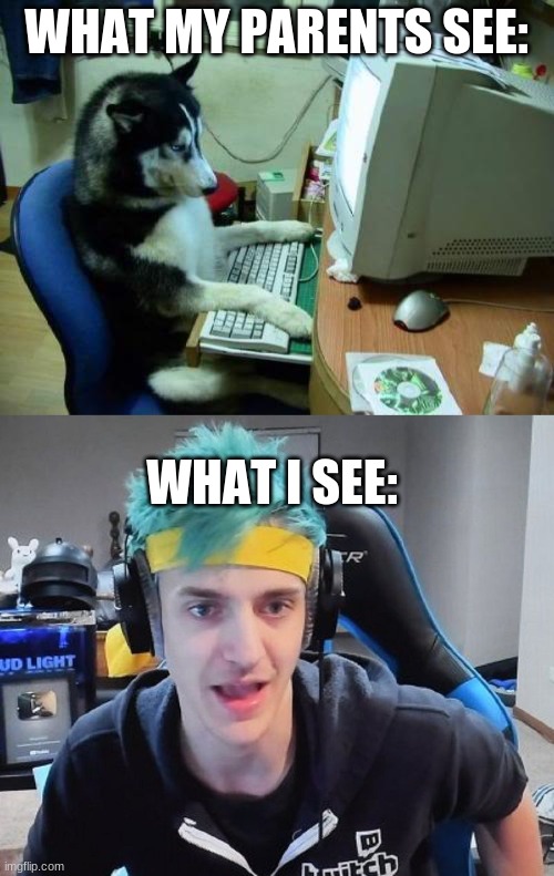 E | WHAT MY PARENTS SEE:; WHAT I SEE: | image tagged in dog on computer,tyler blevins | made w/ Imgflip meme maker