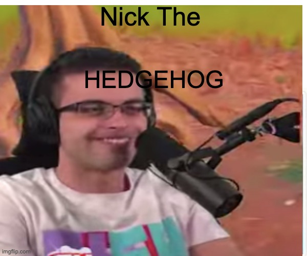 Nick Eh 30 | Nick The; HEDGEHOG | image tagged in fortnite | made w/ Imgflip meme maker