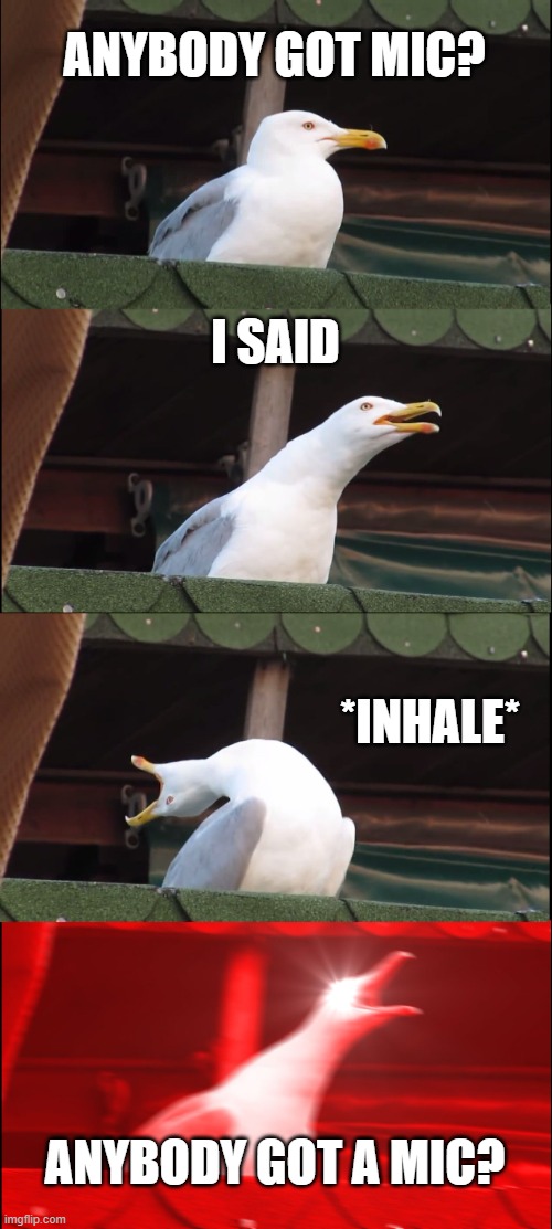 Inhaling Seagull | ANYBODY GOT MIC? I SAID; *INHALE*; ANYBODY GOT A MIC? | image tagged in memes,inhaling seagull | made w/ Imgflip meme maker