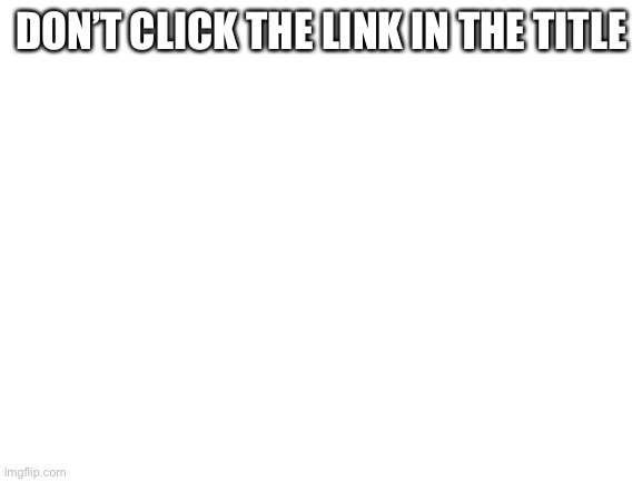 https://rebrand.ly/dc1eyts | DON’T CLICK THE LINK IN THE TITLE | image tagged in blank white template | made w/ Imgflip meme maker