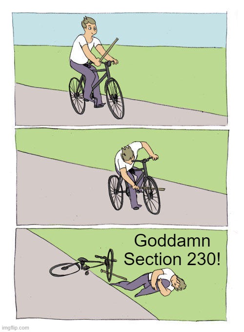 Bike Fall Meme | Goddamn Section 230! | image tagged in memes,bike fall | made w/ Imgflip meme maker