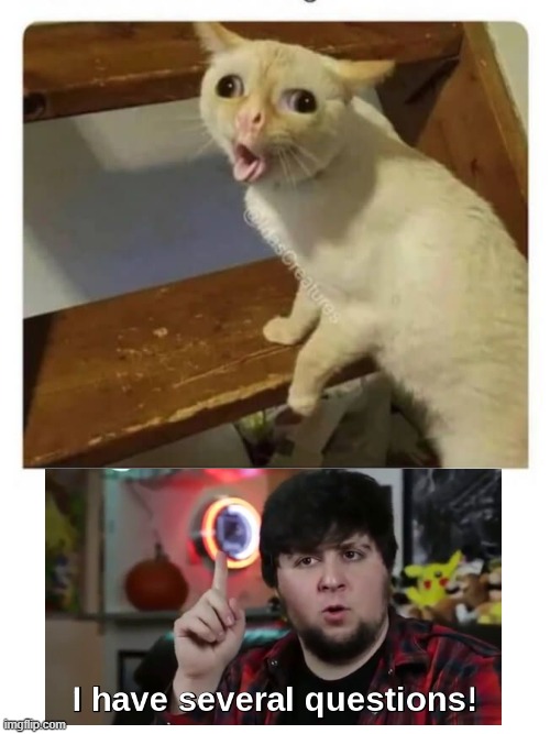 Weird Coughing cat template i found | image tagged in coughing cat,i have several questions | made w/ Imgflip meme maker