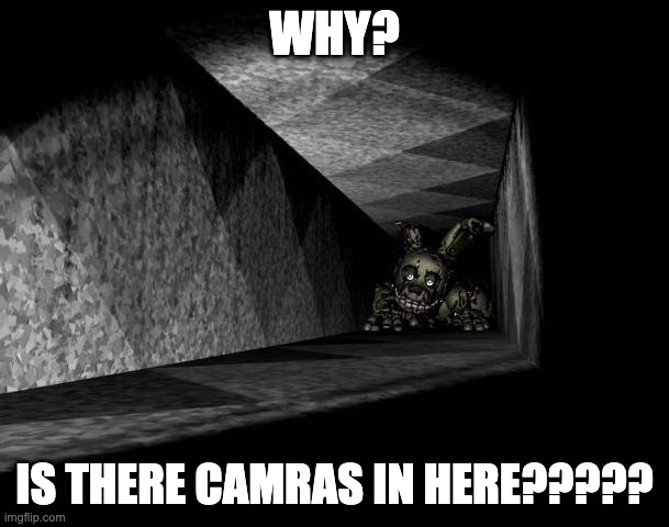 why? | WHY? IS THERE CAMRAS IN HERE????? | image tagged in fnaf 3 | made w/ Imgflip meme maker
