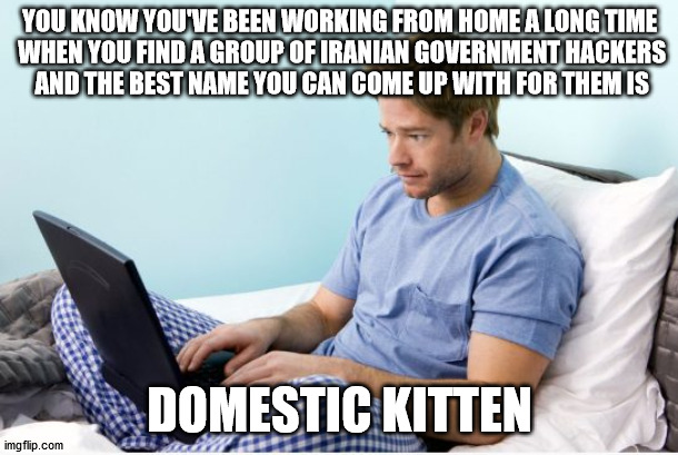 work from home | YOU KNOW YOU'VE BEEN WORKING FROM HOME A LONG TIME
 WHEN YOU FIND A GROUP OF IRANIAN GOVERNMENT HACKERS
 AND THE BEST NAME YOU CAN COME UP WITH FOR THEM IS; DOMESTIC KITTEN | image tagged in work from home | made w/ Imgflip meme maker
