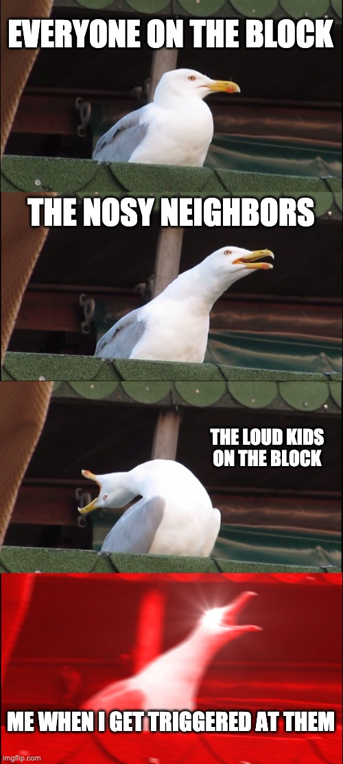 Inhaling Seagull | EVERYONE ON THE BLOCK; THE NOSY NEIGHBORS; THE LOUD KIDS ON THE BLOCK; ME WHEN I GET TRIGGERED AT THEM | image tagged in memes,inhaling seagull | made w/ Imgflip meme maker