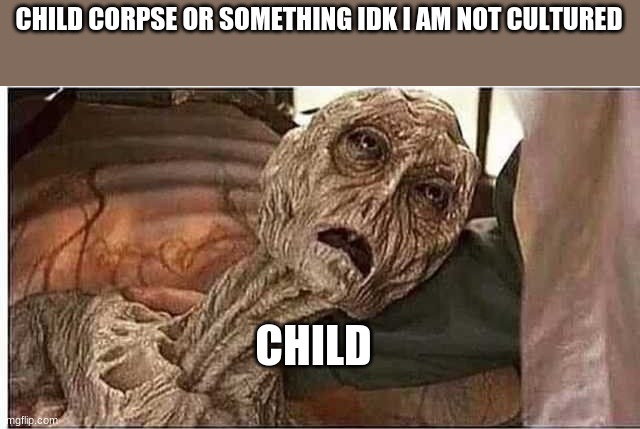 corpse | CHILD CORPSE OR SOMETHING IDK I AM NOT CULTURED; CHILD | image tagged in corpse | made w/ Imgflip meme maker