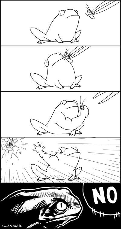 High Quality Frog no fly Blank Meme Template