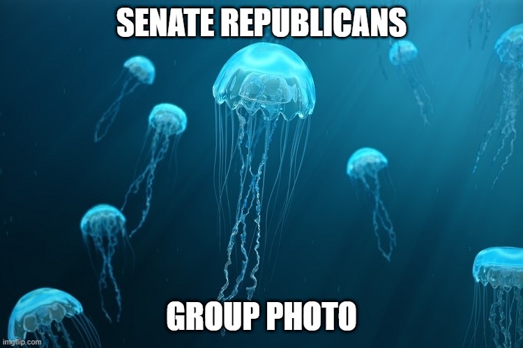 Senate Republicans Group Photo | SENATE REPUBLICANS; GROUP PHOTO | image tagged in jellyfish | made w/ Imgflip meme maker