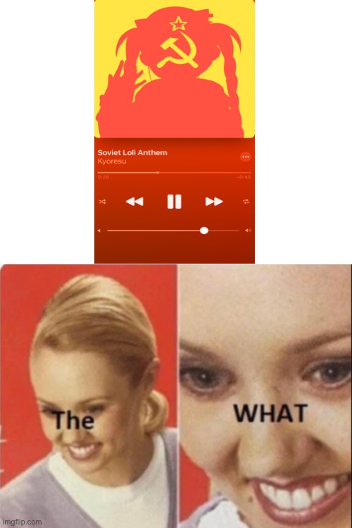 The WHAT | image tagged in blank white template | made w/ Imgflip meme maker