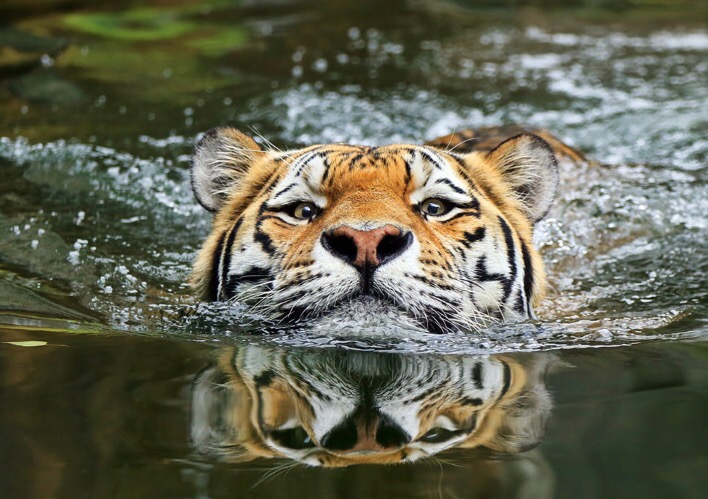 A Matter of Perspective. Photo credit: Klaus Wiese | image tagged in awesome,pics,photography | made w/ Imgflip meme maker