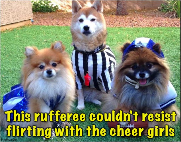 Couldn't resist | This rufferee couldn't resist flirting with the cheer girls | image tagged in doggie ref | made w/ Imgflip meme maker