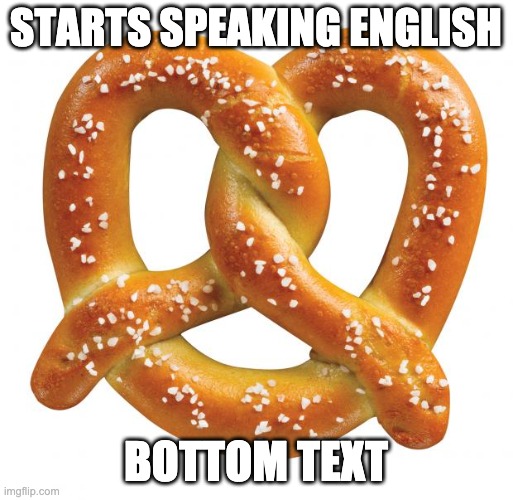 pretzel | STARTS SPEAKING ENGLISH BOTTOM TEXT | image tagged in pretzel | made w/ Imgflip meme maker