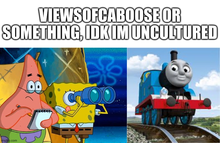 lmao | VIEWSOFCABOOSE OR SOMETHING, IDK IM UNCULTURED | image tagged in memes,funny,usernames,wordplay,bruh | made w/ Imgflip meme maker