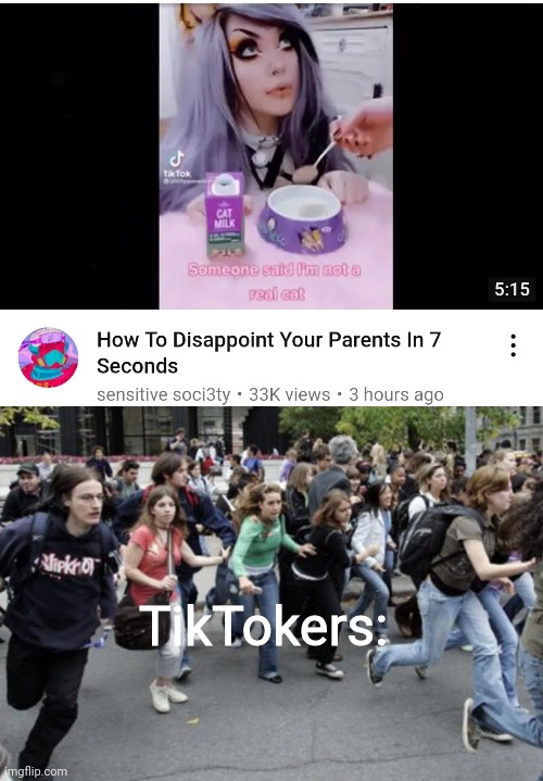 TikTokers: | made w/ Imgflip meme maker