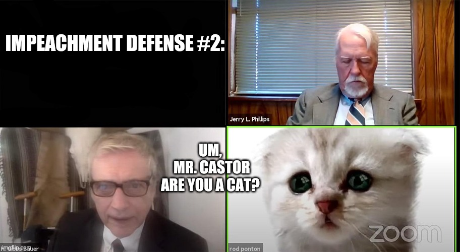 Are.you a cat? | IMPEACHMENT DEFENSE #2:; UM,
 MR. CASTOR ARE YOU A CAT? | image tagged in cat lawyer | made w/ Imgflip meme maker