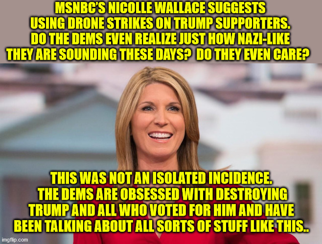 Pelosi wanting to use machine guns on American citizens, Re-educations camps, Firing Trump supporters from the military, etc... | MSNBC’S NICOLLE WALLACE SUGGESTS USING DRONE STRIKES ON TRUMP SUPPORTERS.
DO THE DEMS EVEN REALIZE JUST HOW NAZI-LIKE THEY ARE SOUNDING THESE DAYS?  DO THEY EVEN CARE? THIS WAS NOT AN ISOLATED INCIDENCE.  THE DEMS ARE OBSESSED WITH DESTROYING TRUMP AND ALL WHO VOTED FOR HIM AND HAVE BEEN TALKING ABOUT ALL SORTS OF STUFF LIKE THIS.. | image tagged in democrat nazis,malignant narcissism,control freaks | made w/ Imgflip meme maker