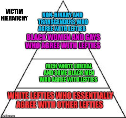 Victim Hierarchy | VICTIM HIERARCHY; NON-BINARY AND  TRANSGENDERS WHO AGREE WITH LEFTIES; BLACK WOMEN AND GAYS WHO AGREE WITH LEFTIES; RICH WHITE LIBERAL AND SOME BLACK MEN WHO AGREE WITH LEFTIES; WHITE LEFTIES WHO ESSENTIALLY AGREE WITH OTHER LEFTIES | image tagged in four tier hierarchy | made w/ Imgflip meme maker