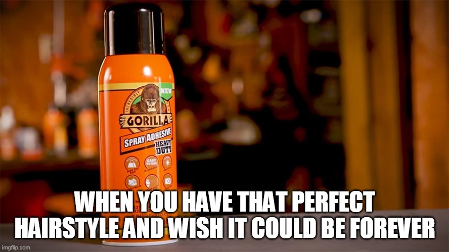 Gorilla Glue | WHEN YOU HAVE THAT PERFECT HAIRSTYLE AND WISH IT COULD BE FOREVER | image tagged in darwin award | made w/ Imgflip meme maker