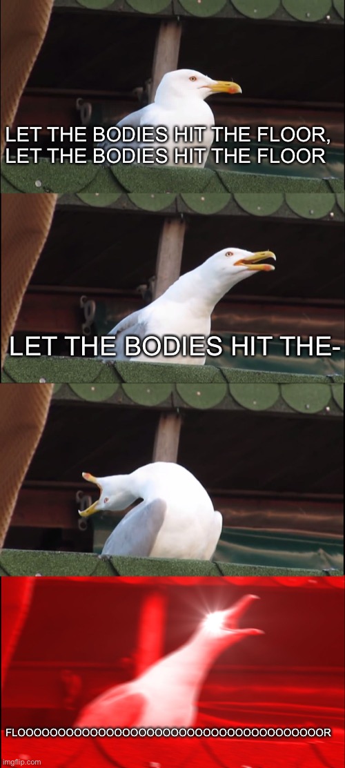 Who knows this song? | LET THE BODIES HIT THE FLOOR, LET THE BODIES HIT THE FLOOR; LET THE BODIES HIT THE-; FLOOOOOOOOOOOOOOOOOOOOOOOOOOOOOOOOOOOOOOR | image tagged in memes,inhaling seagull,rock music,heavy metal,screaming | made w/ Imgflip meme maker