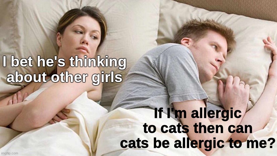 Someone answer this pls | I bet he's thinking about other girls; If I'm allergic to cats then can cats be allergic to me? | image tagged in memes,i bet he's thinking about other women | made w/ Imgflip meme maker