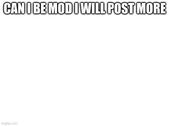 Blank White Template | CAN I BE MOD I WILL POST MORE | image tagged in blank white template | made w/ Imgflip meme maker