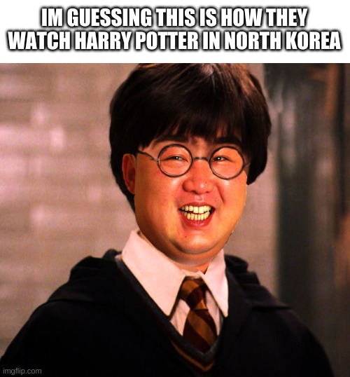 i laughed way too hard at this | IM GUESSING THIS IS HOW THEY WATCH HARRY POTTER IN NORTH KOREA | image tagged in memes,funny,kim jong un,harry potter,north korea | made w/ Imgflip meme maker