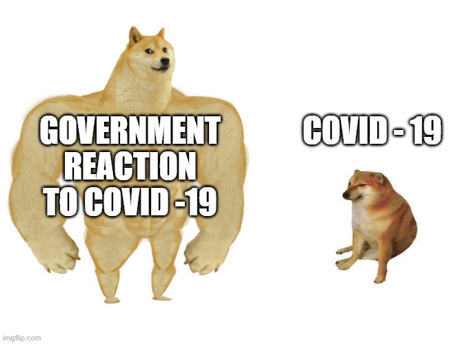 covid 19 dogs | GOVERNMENT REACTION TO COVID -19; COVID - 19 | image tagged in big dog small dog,coronavirus,corona virus,government corruption,government shutdown,big government | made w/ Imgflip meme maker