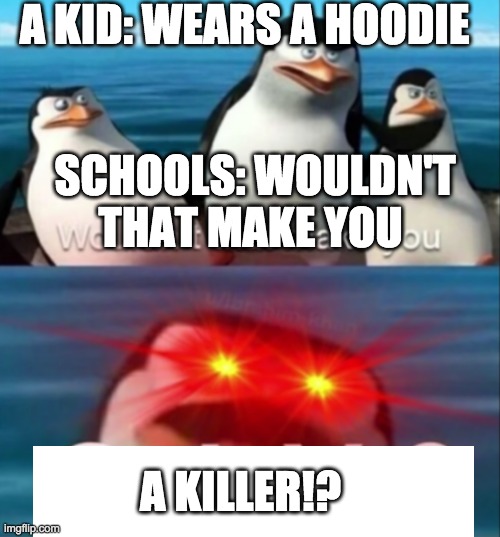 schools is someone wears a hoodie | A KID: WEARS A HOODIE; SCHOOLS: WOULDN'T THAT MAKE YOU; A KILLER!? | image tagged in wouldn't that make you gay | made w/ Imgflip meme maker