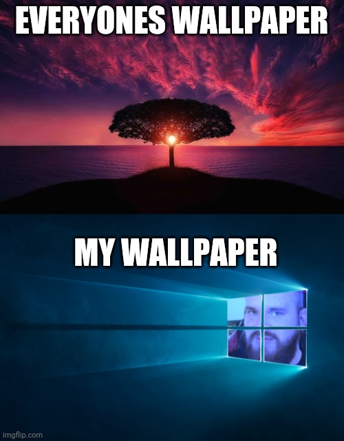 Wallpaper | EVERYONES WALLPAPER; MY WALLPAPER | image tagged in wallpapers,is,cool | made w/ Imgflip meme maker